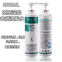 Huitba Tea Tree deep anti-dandruff anti-itching shampoo Anti-oil shampoo nourishes anti-dandruff oil control