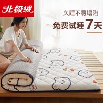 Thickened floor new mattress tatami cushion home student dormitory single bed mattress mat is anti-mite