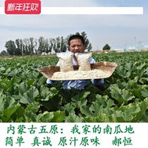 Inner Mongolia original cooked pumpkin seeds iron pot now fried pumpkin seeds white melon seeds fried snacks nuts three kg