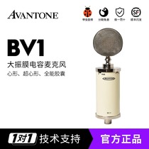 Avantone Pro BV1 BV-1 Classic large diaphragm multi-directional tube microphone Microphone licensed