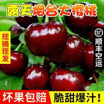 Shandong Yantai Meichao cherry cherries fresh seasonal pregnant fruit 3 kg black pearl fruit 5 kg
