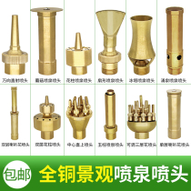 Fountain landscape nozzle pure copper nozzle courtyard fish pond square pool decoration landscape water spray head nozzle all copper