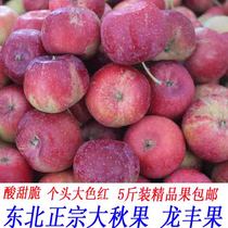 Northeast authentic big autumn fruit Dragon Feng fruit season sweet and sour crisp big taste delicious fresh fruit box 5kg