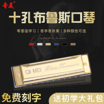  Chimei harmonica Advanced 10-hole childrens adult c-tone beginner blues harmonica self-taught ten-hole Blues musical instrument