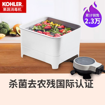 Kohler vegetable washing machine Fruit and vegetable disinfection machine accessories area