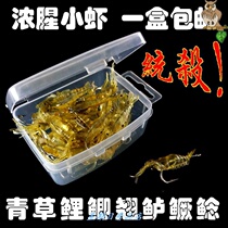 Fishy Fishing Small Fake Shrimp Freshwater Through Killing Fish Bait Fake Bait Bionic Shrimp Lujah Soft Bait Sea Fishing Bait With Hook Without Hook