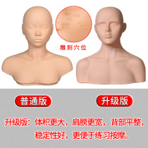 Skin management head model beauty salon learning facial acupuncture practice manipulation dummy bald head model with shoulders