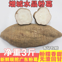 Fen Ge fresh soup Pueraria Pueraria Pueraria Pueraria Huangge Guangdong Zengcheng is now digging powder Ge sweet sweet and slag-free 3kg powder