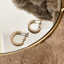 Fashionable Joker S925 silver pin micro-inlaid zircon round ear buckle INS cold wind design sense niche trendy earrings