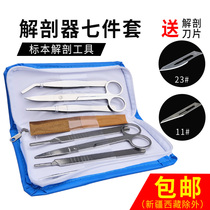  Biological dissector Seven-piece four-piece stainless steel insect dissection needle dissection scissors dissection plate blade handle Medical biological laboratory supplies Tool set Specimen making tweezers