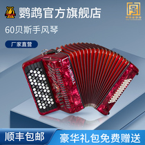 Parrot brand YW-672 accordion 2 reed 62 keys 60 bass BS professional performance instrument for beginner examination