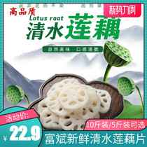 Honghu fresh water lotus root slices 10 kg Commercial cold salad hot pot Malatang braised vegetable skewers 5 kg catering ingredients