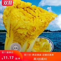 Egg yellow cabbage seeds Autumn yellow heart cabbage seeds Four seasons fast rapeseed delicious easy to grow easy to live high-yield vegetable seeds Relict rapeseed