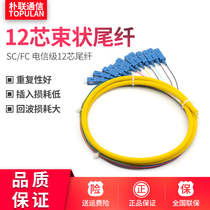 12 Core beam-shaped tail fiber SC square head FC round head single mode optical fiber jumper telecom grade bunching tail fiber with leather 12 core beam fitting tail fiber