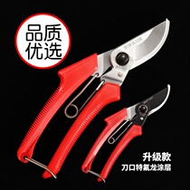 Taiwan 120 trim - cut garden fruit tree rough scissors family nursery imported gardening province of the monthly flower cut