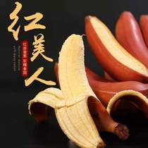 Red Beauty Banana 10 Jin Fresh Seasonal Pregnant Fruit Red Banana Red Banana Sweet Soft Nuo Fragrant