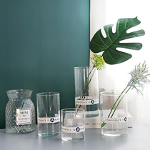 Glass Vase Transparent Flower Arrangement Hydroponic Nordic Small CUHK Green Lori Water Raising Brief Simulation Flowers Fake Flowers Rose Flowers