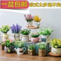 Simulation plant decoration potted Nordic green plant ornaments ins home indoor living room meaty fake flower bonsai decoration