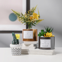 Simple simulation creative green plant fittings modern home living room decoration fake desktop decoration