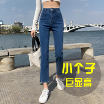 145 short eight-point pants womens 2021 New 150 small jeans high waist slim small feet straight pants