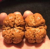 Wenplay walnut Toad head Walnut Collection level wild play grimace lion head natural golden toad hand play a pair of fine