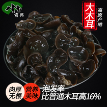 Super black fungus dry goods 500g Mengxing Yunnan specialty autumn ear big fungus wild basswood wholesale Northeast