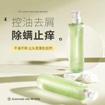 Mingchengya Anti-mite Shampoo Refreshing Anti-dandruff Shampoo Control Oil Fluff Long Lasting Fragrance Men and Women