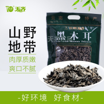 Tianqi Yunnan black fungus specialty set up a small bowl of ear meat thick tender and refreshing not greasy 160g