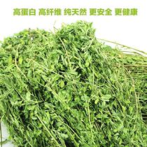 2021 New purple flower clover grass rabbit dragon cat Dutch pig plant feed grinding tooth pasture grass drying clover dry grass