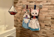 Japanese Finrikshi Dreams Cat with a fairytale-themed foreign princess kitty rubbing towels with a realistic cartoon