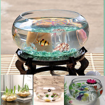 Living room Large turtle tank Fish tank Glass vase Transparent hydroponic flower pot Daffodil basin bowl Lotus basin Water plant utensils