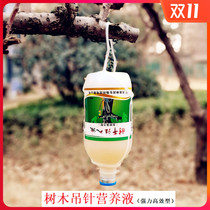 Shenrun trunk injected with liquid tree power bottle camphor osmanthus Magnolia Magnolia ginkgo tree hanging needle nutrient solution