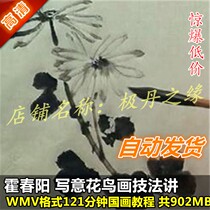National painting video tutorial Huo Chunyang Write a flower and bird painting technical law to talk about water and ink demonstration foundation master teaching