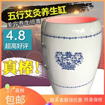 Health tank magnetic therapy Weng negative ion postpartum full moon hair sweat steamed urn moxibustion fumigation urn energy tank beauty salon home