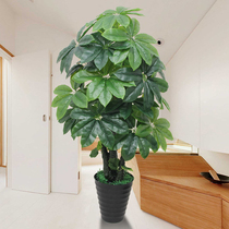 Fake Tree Emulation Tree Living Room Decoration Hair Treasure Tree Potted Plant Pendulum Pieces Large Floor Green Plant Plastic Green Plant Solicit Money