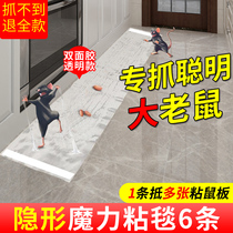 Mouse sticker powerful stick mouse plate glued large mouse large number home commercial fully automatic catch big rat-rat