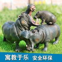 Simulation wildlife world big Hippopotamus model Solid animal toy Children cognitive early education gifts for boys and girls