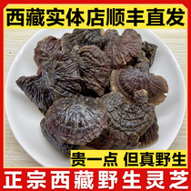 Tibet Nyingchi wild Ganoderma Lucidum Red Ganoderma Lucidum dry 500g Black Ganoderma Lucidum thin cover Ganoderma lucidum 1 catty gift box