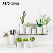 Simulation plant fleshy small potted ins wind Nordic decoration fake flowers Indoor green plant decoration Cactus ornaments