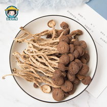 Fujian Jianning farm tea tree mushroom dry goods fresh alpine self-built mushroom shed does not cut the feet do not open the umbrella 500g