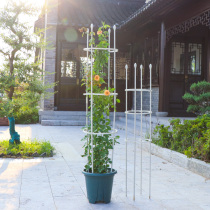 Flower rack climbing rattan shelf Clematis moon flower bracket flower pot plant climbing bracket indoor fixed flower support rod