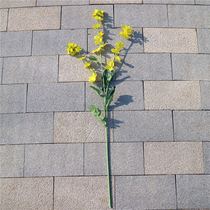 Simulation rape flower with leaf rape flower simulation flower 3 fork single fake flower project wedding background decoration