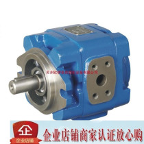 American VICKERS vane pump V10-1S3S-1A-20 American Wigs oil pump hydraulic pump