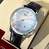 Mens watch mens Swiss movement famous watch brand mens watch automatic mechanical watch mens waterproof trend calendar ten