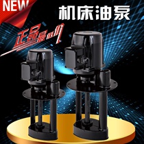 Shanghai Sanai Oil Pump New Single Three-phase Electric Pump Machine Tool Cooling Pump Copper Wire Hydraulic Pump Circulation