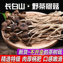 20-year-old new farmer selected semi-wild tea tree mushroom dried goods premium non-open umbrella tender 250g fresh cover tender handle crispy bag