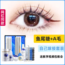 False eyelashes womens single Cluster C- shaped fish tail hair mixed grafting eyelashes natural simulation soft fairy hair single root