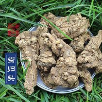 Chinese herbal medicine angelica head 250 grams Minxian specialty Mingui extra large sulfur-free angelica a bubble wine stew soup