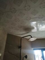 Glazed tiles ceiling tiles ceiling tiles 20Cm European living room rooms office buildings balconies glazed Foshan delivery