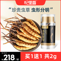 Buy 1 give 1 Saliang Naqu Cordyceps sinensis Cordyceps Wormwood 1g5 non gift box